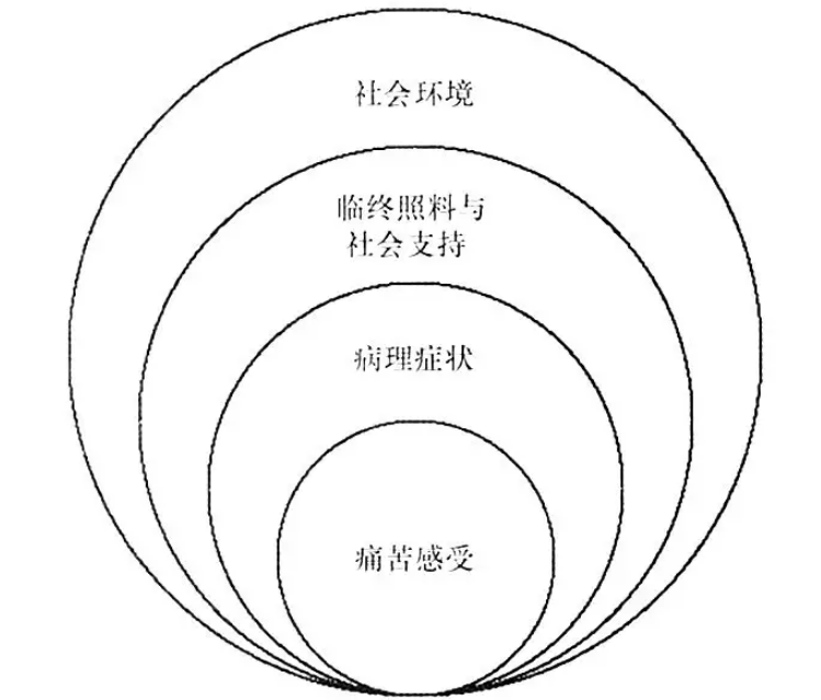 15564384333822.png 15564384333822.png